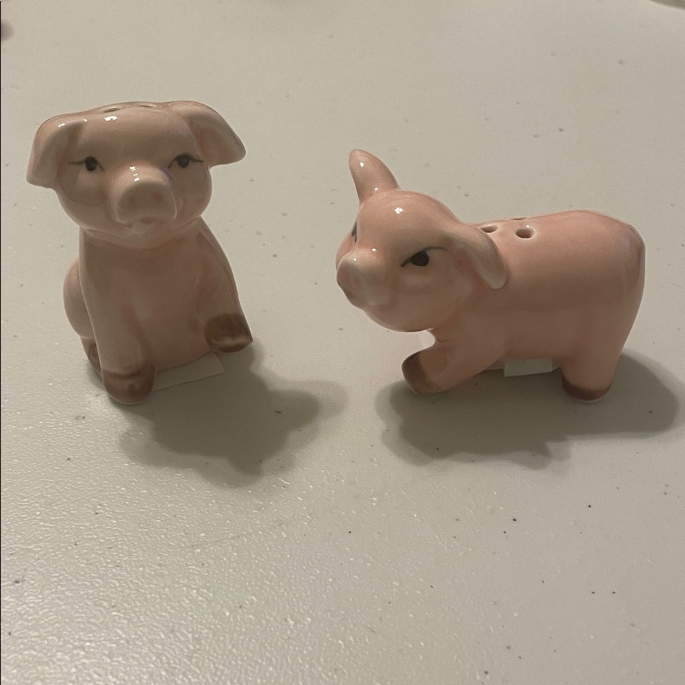 Mini Salt and Pepper Shakers Set Pigs